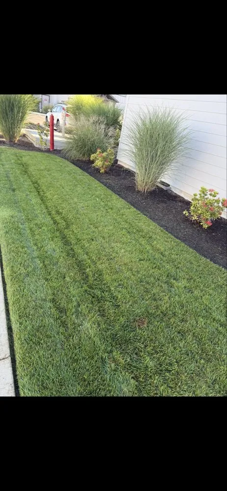Reliable yard cleanup service experts serving Salem, OR - Sonora Landscape & Maintenance