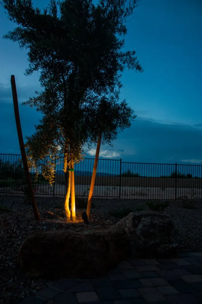 Affordable garden landscaping in Oro Valley, AZ by Sonoran Dreams Landscape