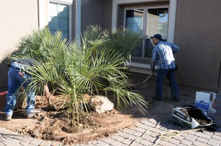 Top-rated residential landscaping for residential properties in Oro Valley, AZ by Sonoran Dreams Landscape