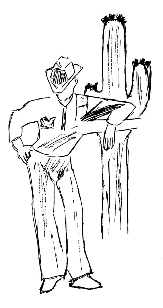 Reliable yard cleanup service in Cave Creek, AZ - Sonoran Foothills Landscaping