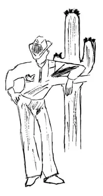 Sonoran Foothills Landscaping