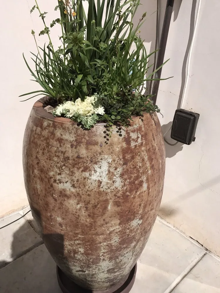 Reliable landscaping services for outdoor upgrades across Tucson, AZ - Sonoran Gardens