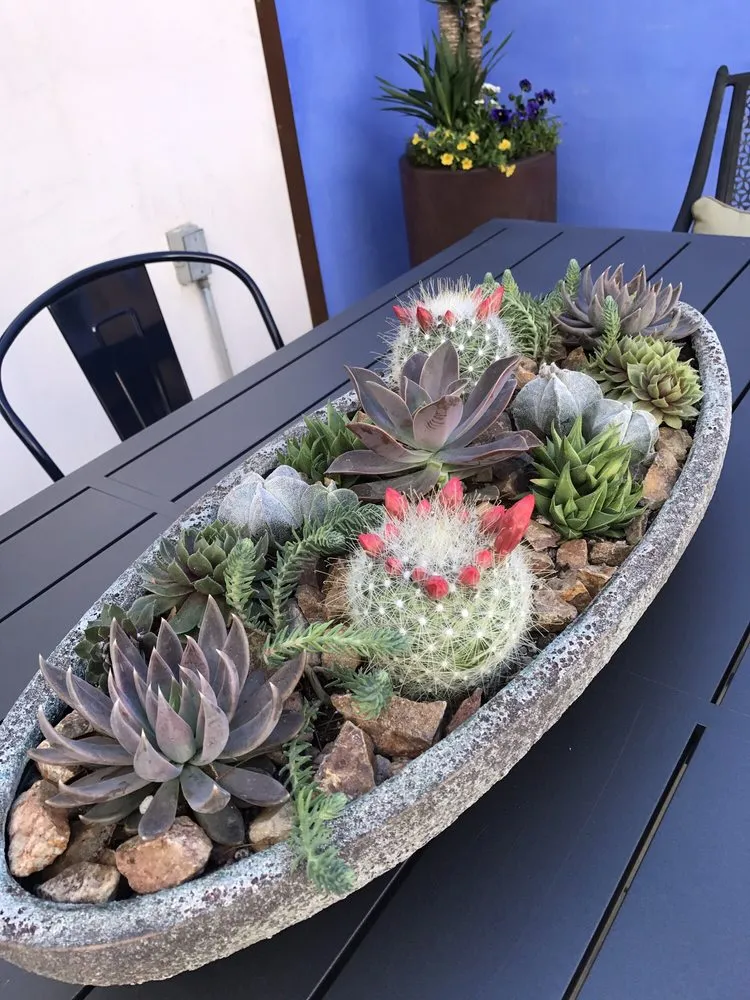 Affordable residential landscaping for outdoor upgrades in Tucson, AZ by Sonoran Gardens