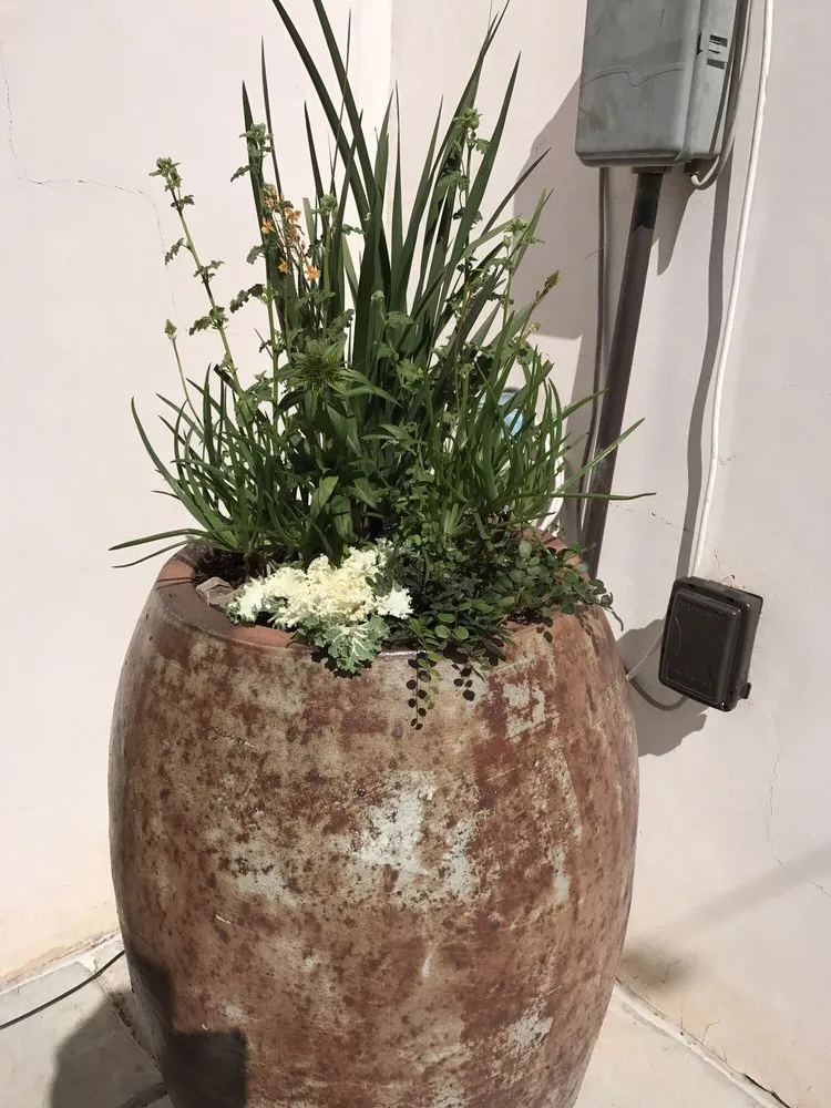 Custom garden landscaping in Tucson, AZ by Sonoran Gardens