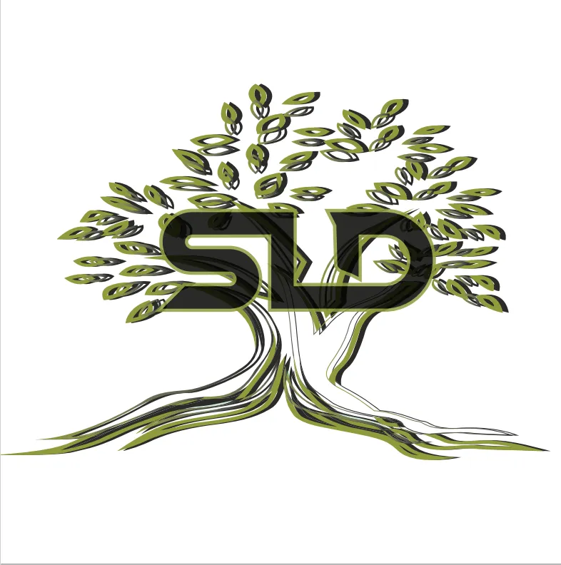 Custom outdoor landscaping experts serving Mesa, AZ - Sonoran Landscape Design