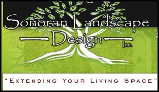 Professional outdoor landscaping in Mesa, AZ - Sonoran Landscape Design