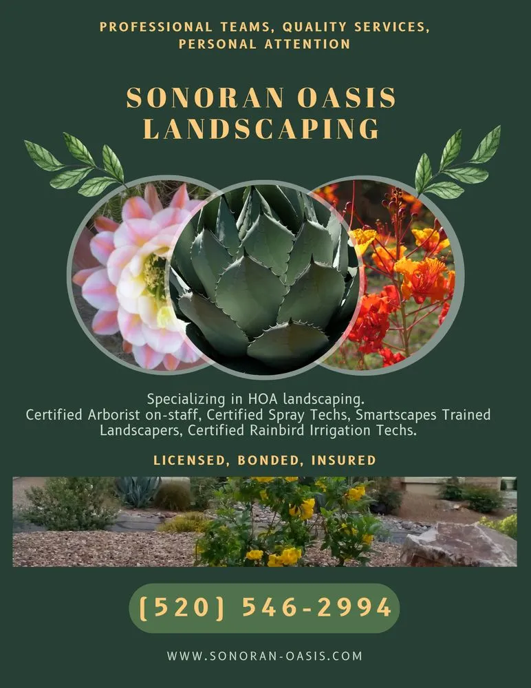 Custom outdoor landscaping experts serving Tucson, AZ - Sonoran Oasis Landscaping
