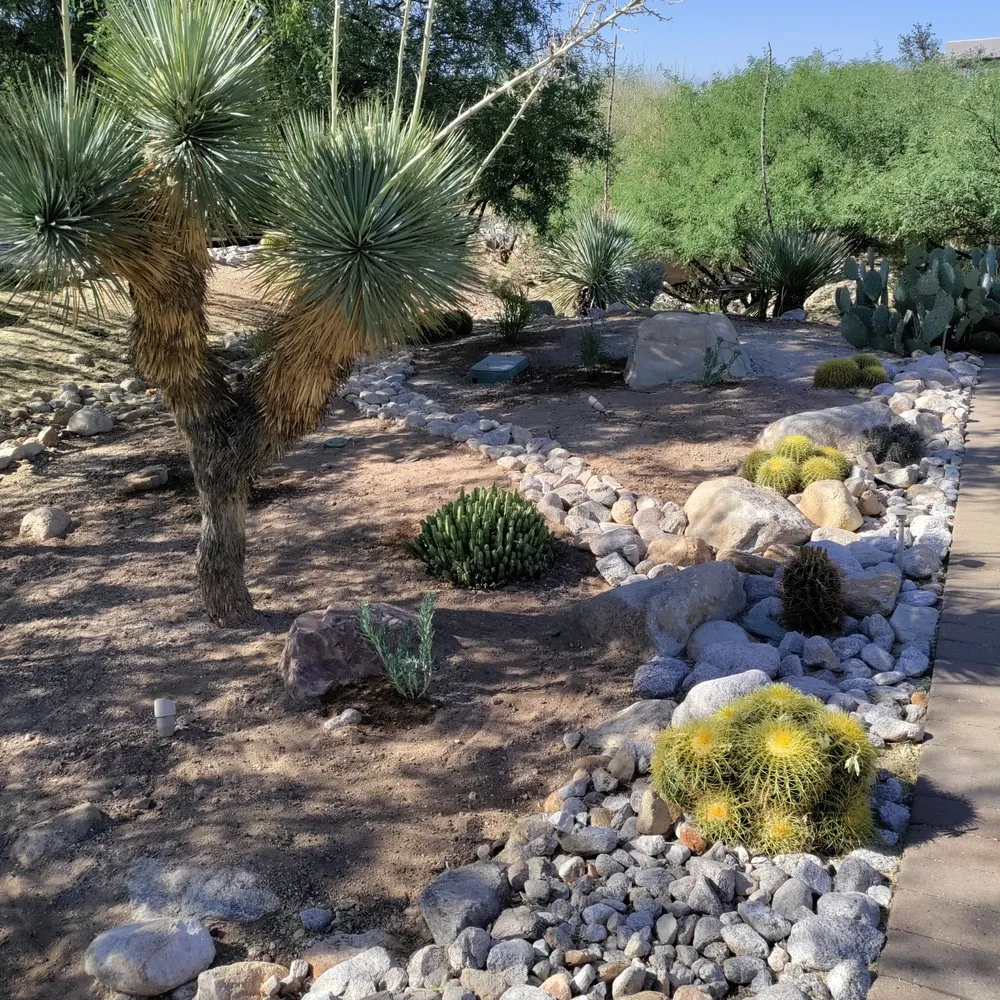 Expert yard cleanup service for outdoor upgrades across Tucson, AZ - Sonoran Oasis Landscaping