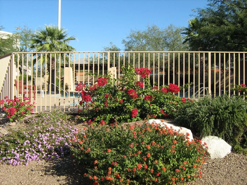 Local lawn care service experts serving Tucson, AZ - Sonoran Oasis Landscaping