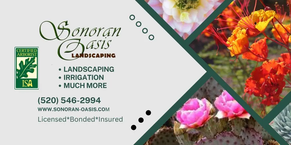 Top-rated outdoor landscaping near you in Tucson, AZ by Sonoran Oasis Landscaping