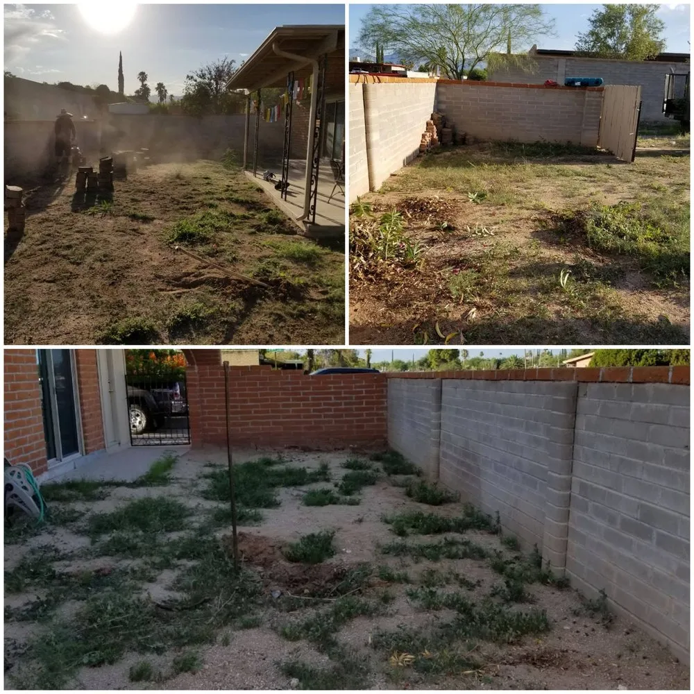 Custom yard cleanup service for year-round maintenance in Tucson, AZ by Sonoran Scapes Landscaping