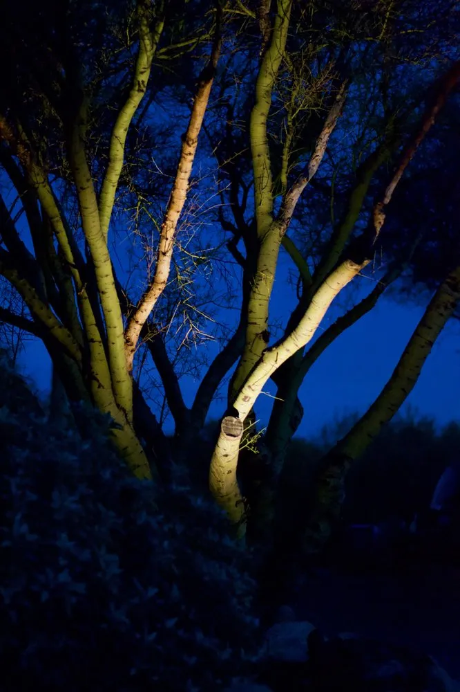 Custom landscape installation with custom design in Tucson, AZ by Sonoran Scapes Landscaping