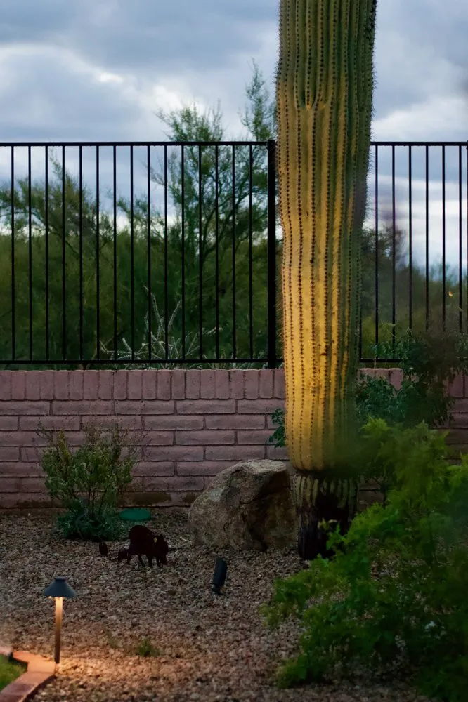 Custom landscaping services with custom design in Tucson, AZ by Sonoran Scapes Landscaping