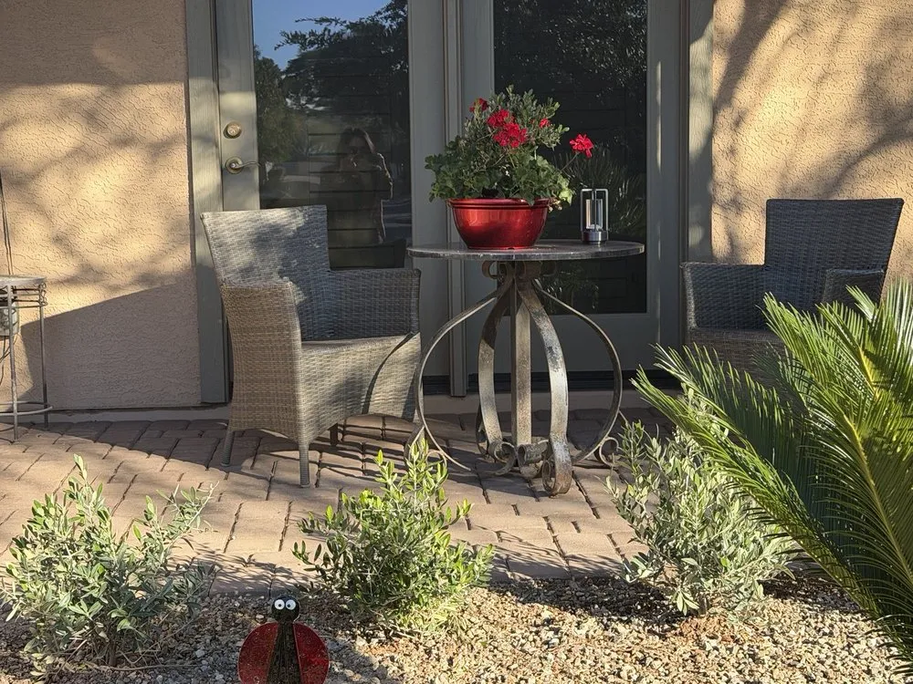 Reliable landscaping services in Phoenix, AZ - Sonoran Scapes