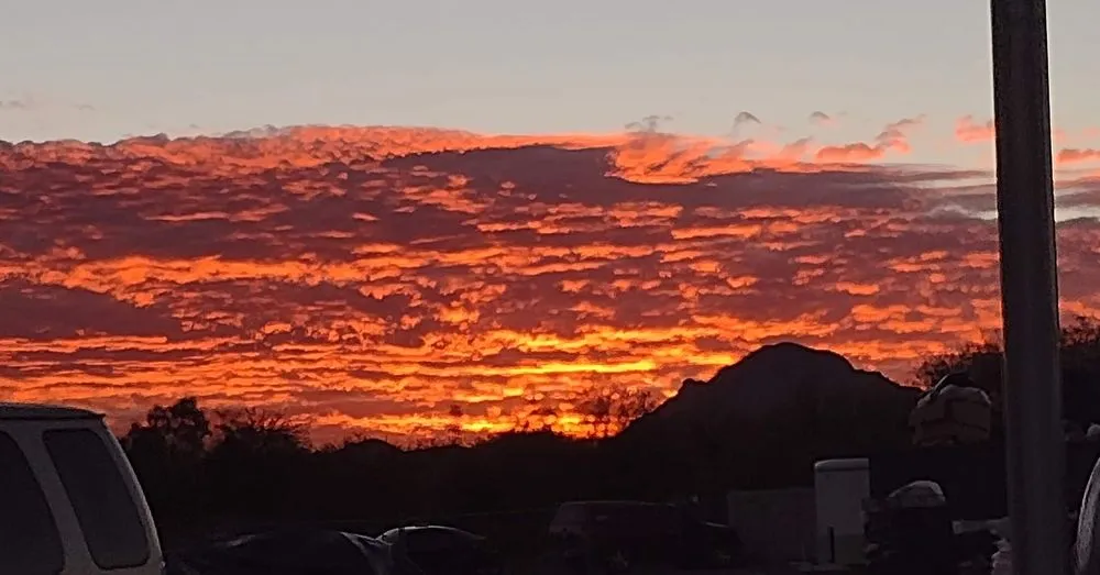 Expert landscaping services in Tucson, AZ by Sonoran Sunset Landscaping