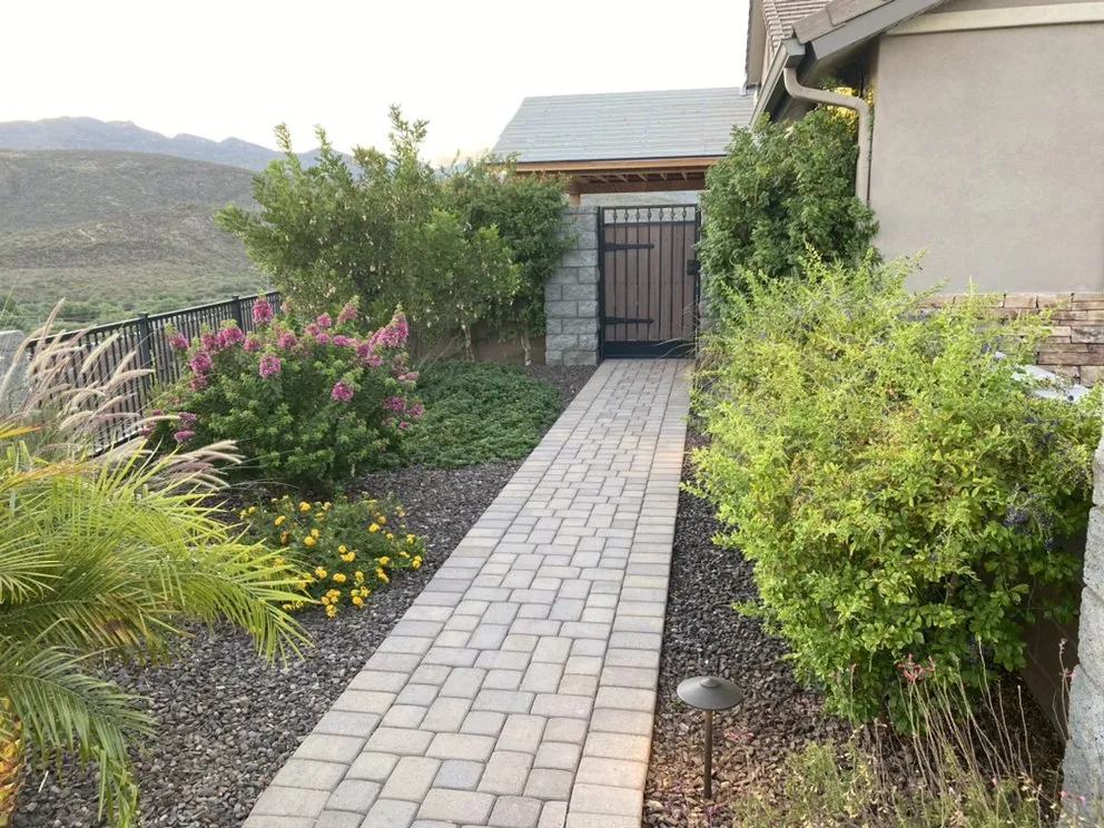 Expert yard cleanup service experts serving Black Canyon City, AZ - SonoranScapes Landscaping & Maintenance