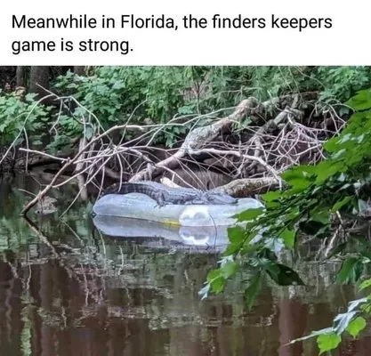 Sonrise Solutions Lawn Garden & More Logo