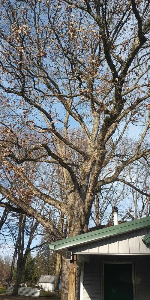 Professional garden landscaping experts serving Ithaca, MI - Son's & Brother Land Maintenance