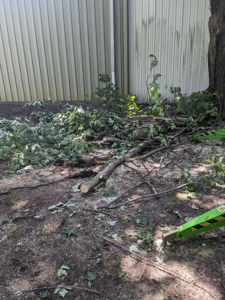 Custom lawn care service for outdoor upgrades in Ithaca, MI by Son's & Brother Land Maintenance