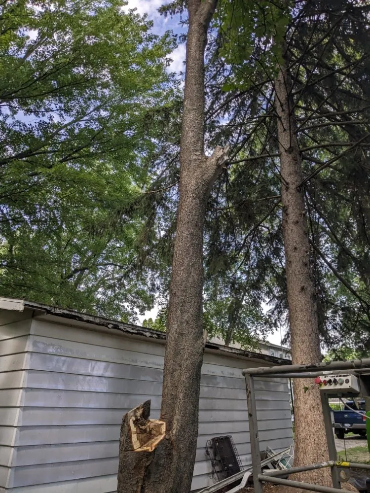 Trusted yard maintenance in Ithaca, MI - Son's & Brother Land Maintenance