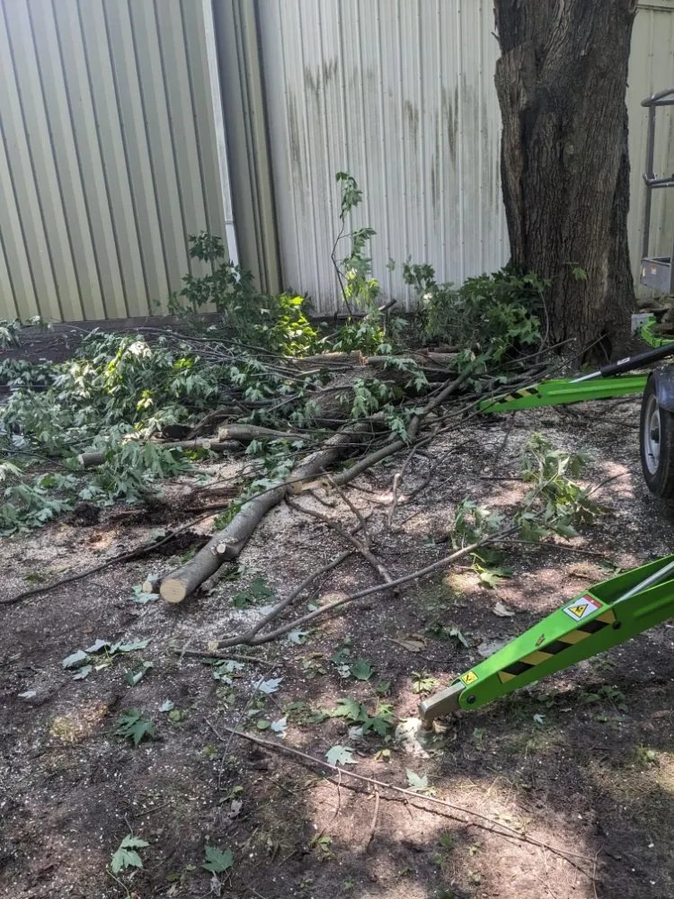 Custom yard cleanup service with custom design in Ithaca, MI by Son's & Brother Land Maintenance