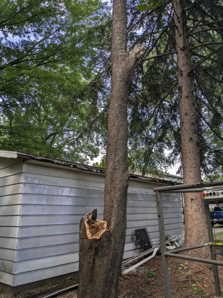 Trusted landscape design for beautiful yards across Ithaca, MI - Son's & Brother Land Maintenance