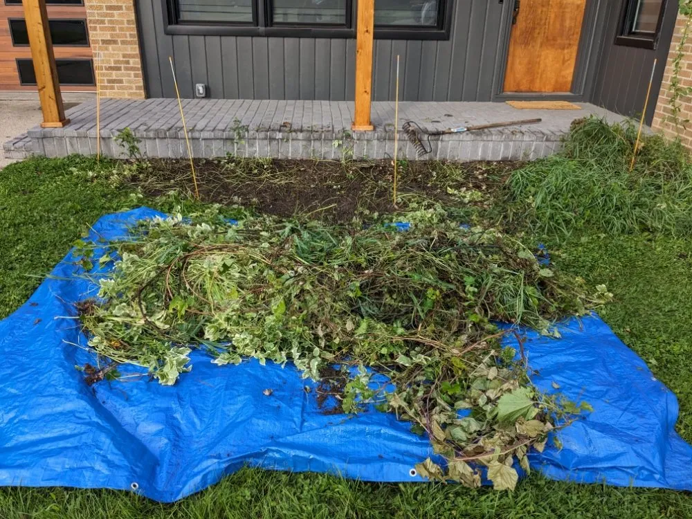 Reliable landscaping services experts serving Ithaca, MI - Son's & Brother Land Maintenance