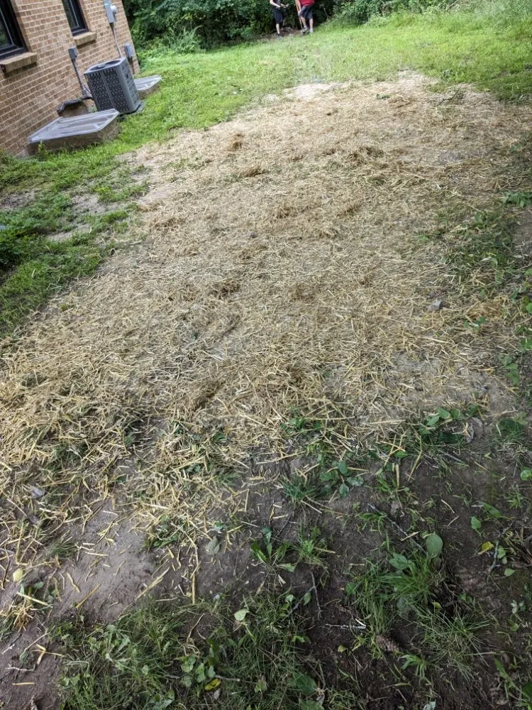 Local lawn mowing service near you across Ithaca, MI - Son's & Brother Land Maintenance