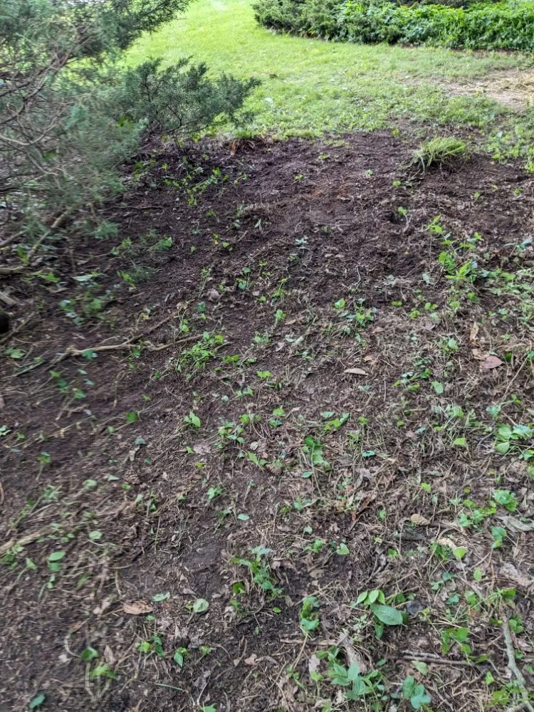 Top-rated landscape installation for year-round maintenance in Ithaca, MI by Son's & Brother Land Maintenance