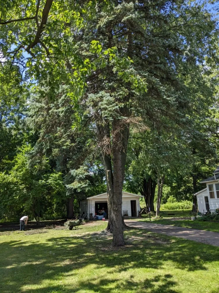 Affordable residential landscaping in Ithaca, MI by Son's & Brother Land Maintenance