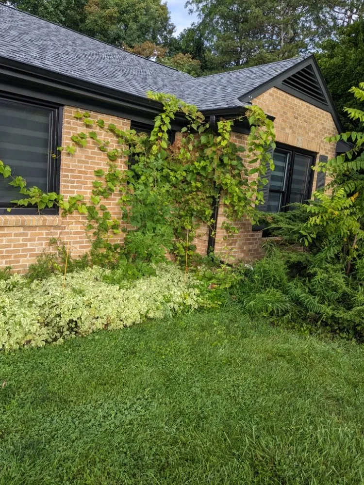 Local yard maintenance experts serving Ithaca, MI - Son's & Brother Land Maintenance