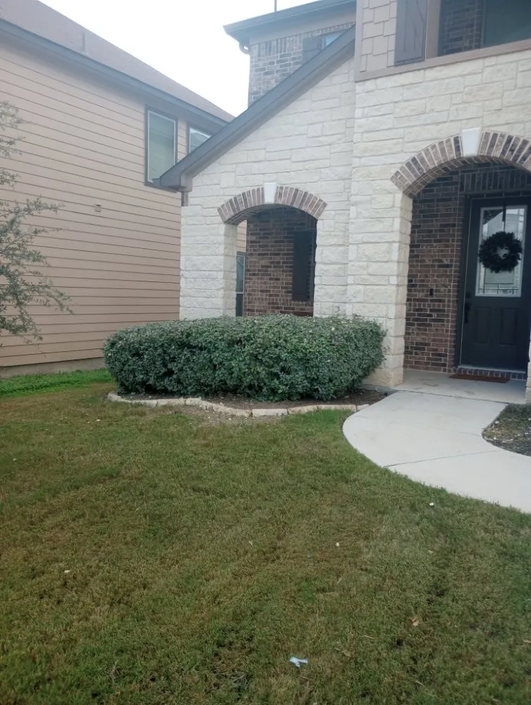 Top-rated landscaping services near you in San Antonio, TX by Sons bros & I Lawn Service