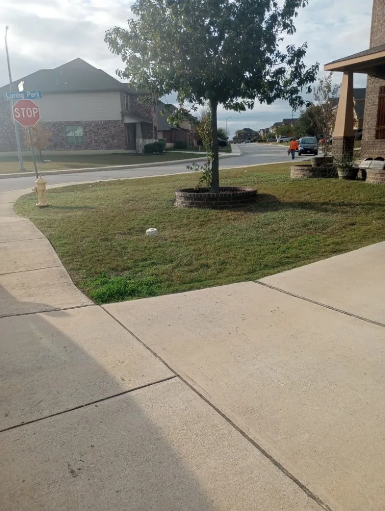 Affordable yard maintenance for year-round maintenance in San Antonio, TX by Sons bros & I Lawn Service