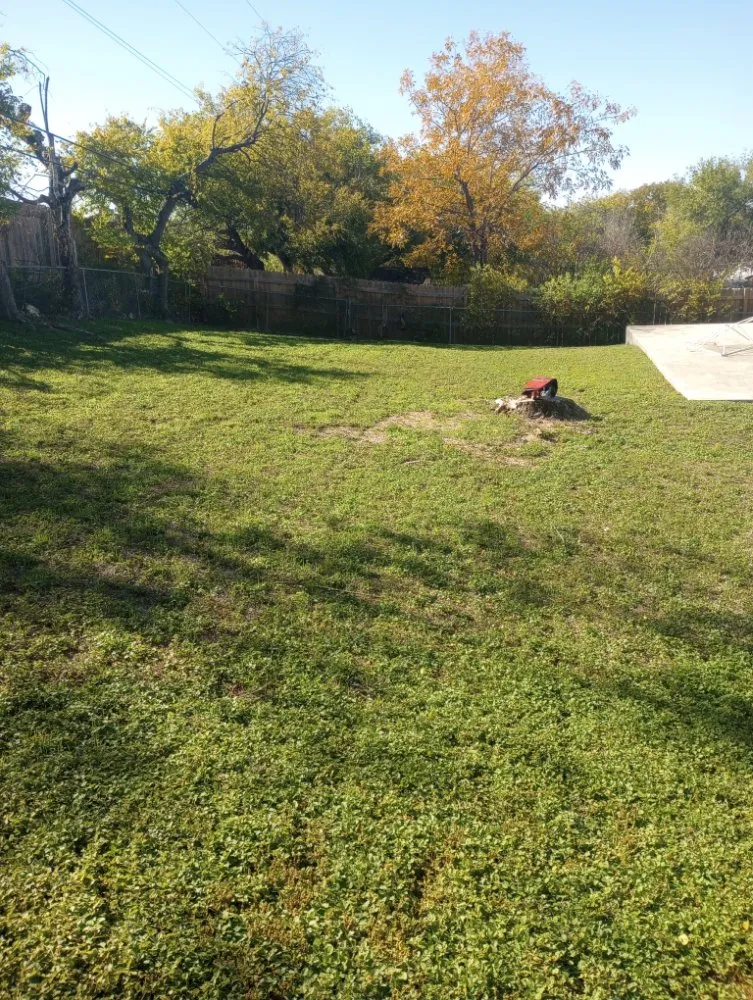 Trusted landscape installation in San Antonio, TX - Sons bros & I Lawn Service
