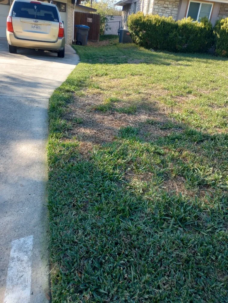 Affordable garden landscaping in San Antonio, TX by Sons bros & I Lawn Service