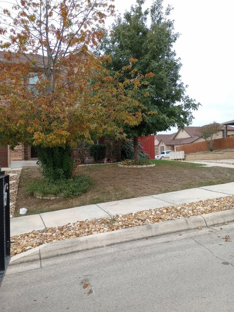 Affordable yard cleanup service experts serving San Antonio, TX - Sons bros & I Lawn Service