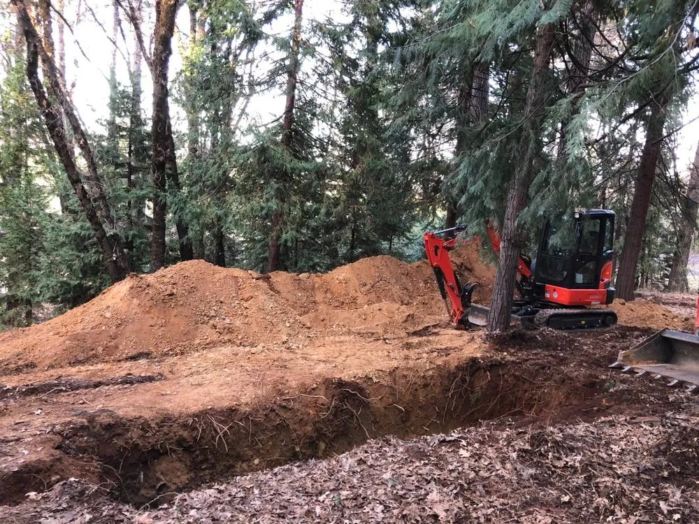 Local yard maintenance experts serving Benton, TN - Sons Land Services