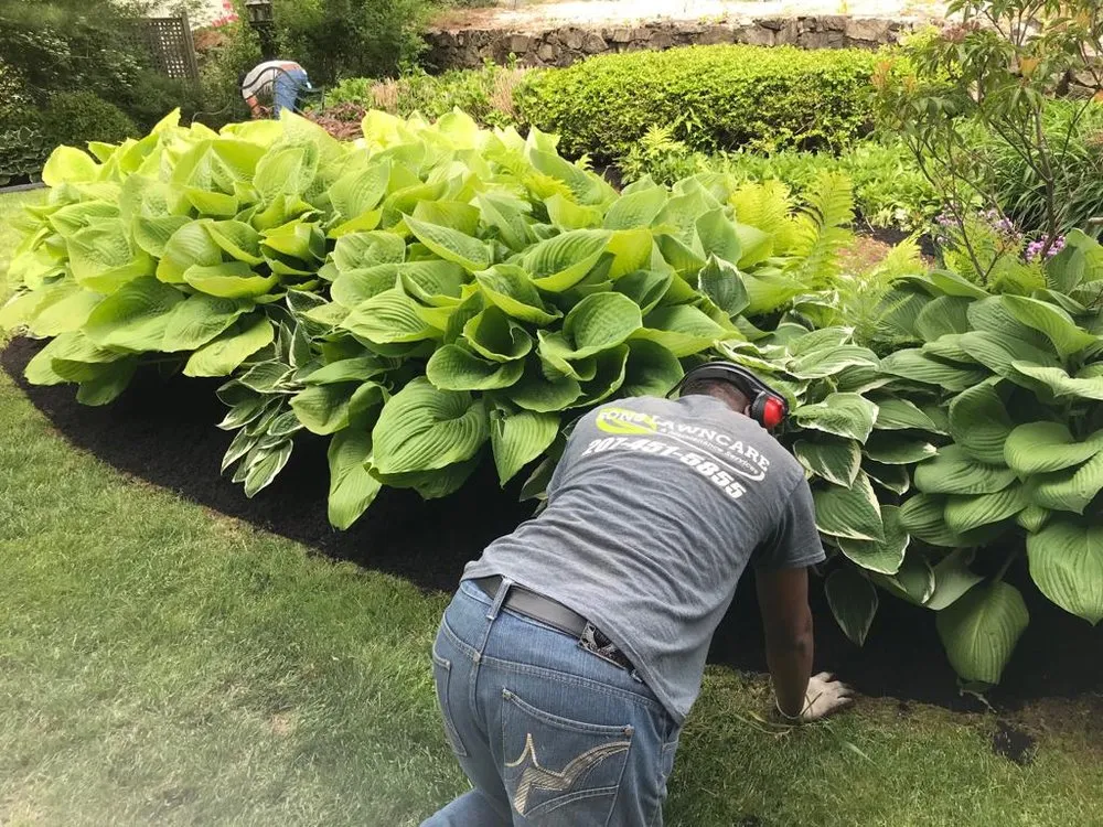 Reliable landscaping services experts serving York, ME - Sons Lawn Care