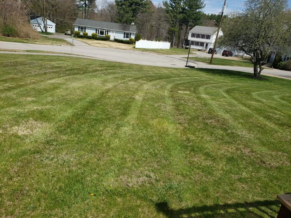Top-rated yard cleanup service in York, ME - Sons Lawn Care