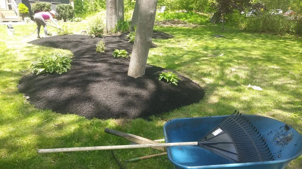 Reliable lawn care service near you in York, ME by Sons Lawn Care