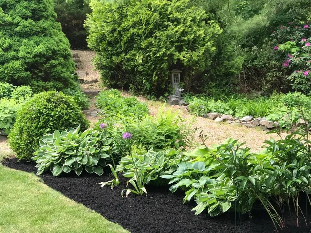 Professional landscape installation in York, ME - Sons Lawn Care