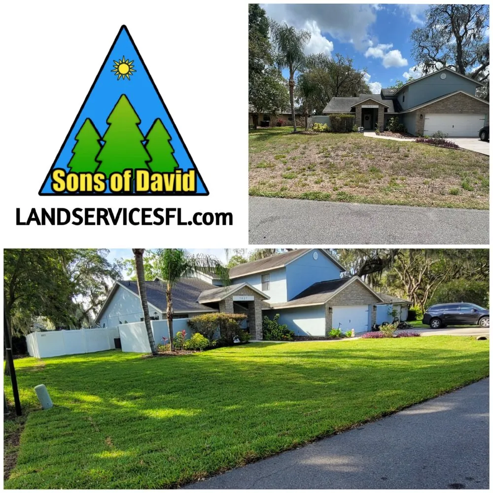 Top-rated landscaping services for year-round maintenance in Lakeland, FL by Sons of David Land Services