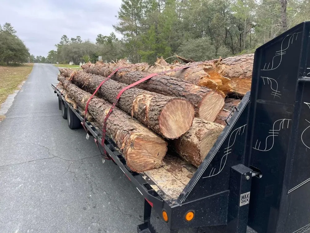 Expert lawn mowing service in Lakeland, FL - Sons of David Land Services