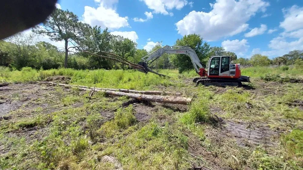 Top-rated yard maintenance experts serving Lakeland, FL - Sons of David Land Services