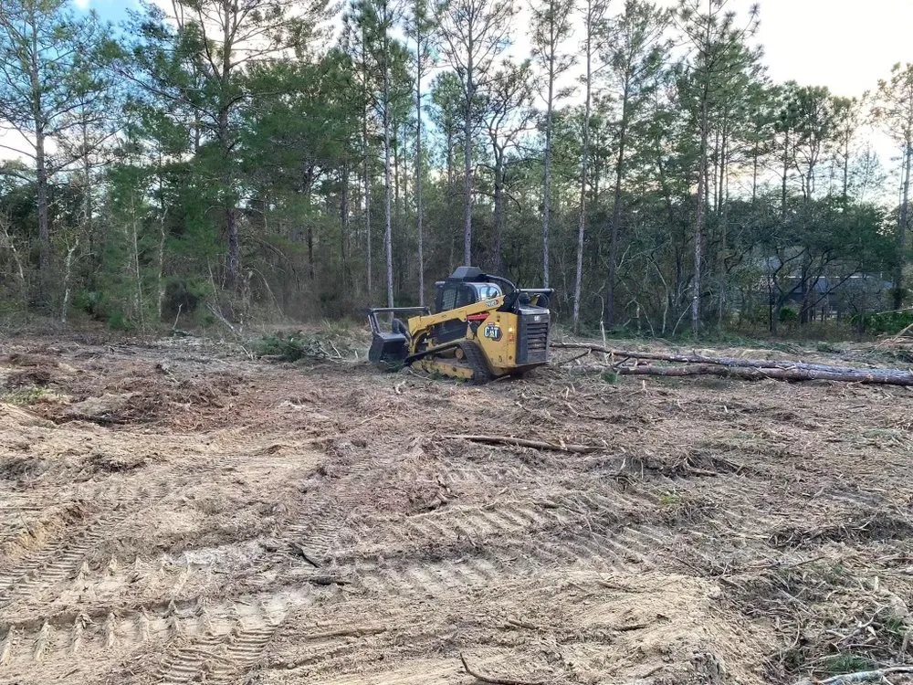 Affordable residential landscaping for outdoor upgrades across Lakeland, FL - Sons of David Land Services