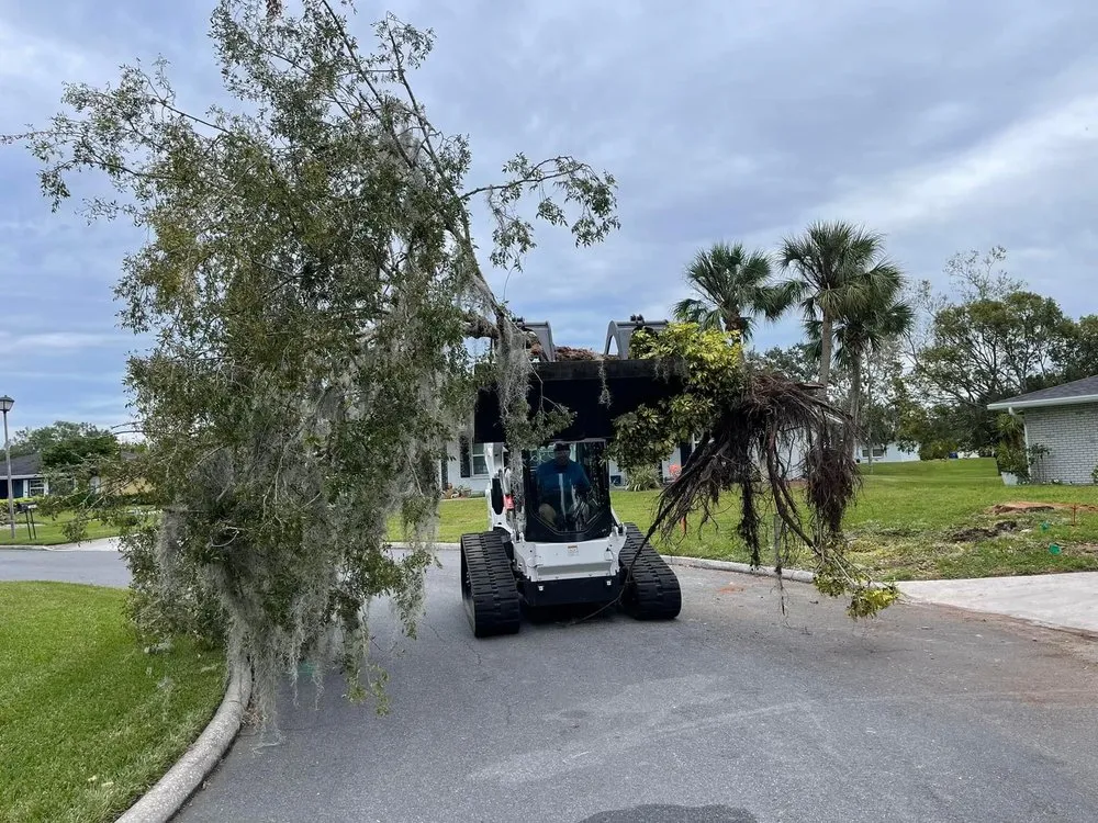 Affordable garden landscaping in Lakeland, FL by Sons of David Land Services