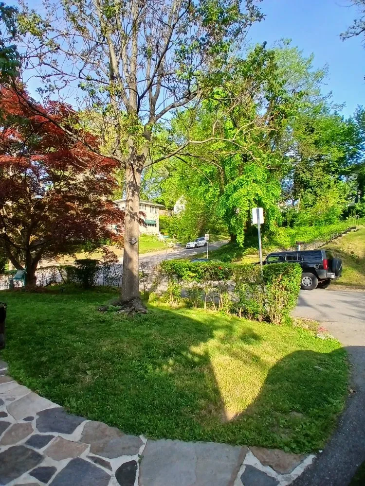 Custom garden landscaping for outdoor upgrades across Baltimore, MD - Sons of God landscaping