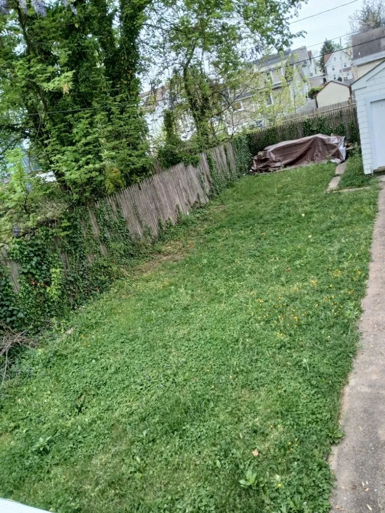 Reliable landscaping services experts serving Baltimore, MD - Sons of God landscaping