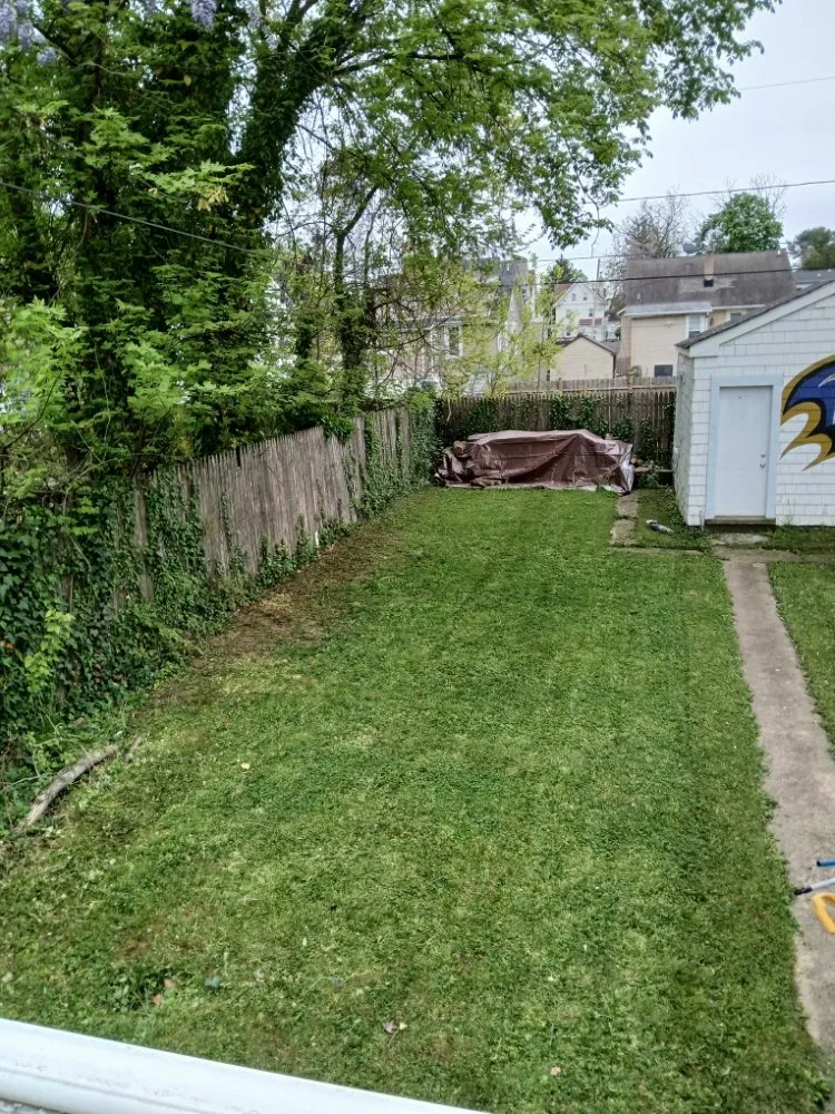 Top-rated lawn care service for outdoor upgrades across Baltimore, MD - Sons of God landscaping