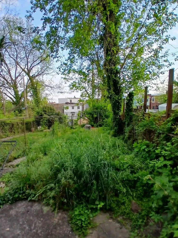 Top-rated garden landscaping for beautiful yards in Baltimore, MD by Sons of God landscaping